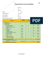 Costo de Producción Del Cultivo de Rábano