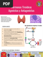 Hormonas Tiroideas