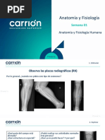 PSA01 ND II Anatomia y Fisiologia Humana