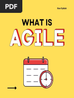 What Is Agile