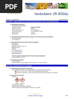 Ficha de Seguridad R 600a Gas Servei