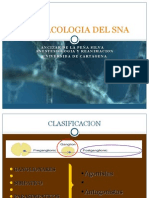 Farmacología Del Sistema Nervioso Autonomo