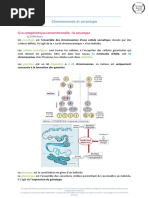 Chromosomes Et Caryotype