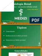 60 Fisiología Renal - Reabsorción y Secreción (Tubulo Proximal)