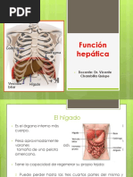 Función Hepática