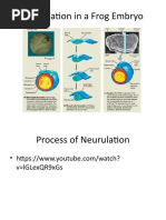 BIOS 201 Lecture 12 30.09.2022