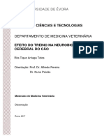 Mestrado - Medicina Veterinária - Rita Tique Arriaga Teles - Efeito Do Treino Na Neurobioquímica Cerebral Do Cão