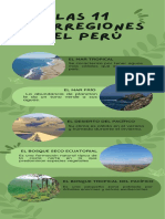 Infografía Agencia de Viajes Natural Verde