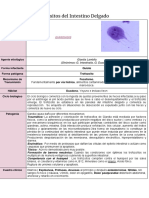 Cuadros de Parasitología EstradaMackintoy 