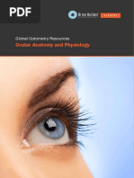 Ocular Anatomy Physiology