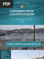 Contaminacion de Playa Pucusana - Suarez Cordova, Ruth Claudia