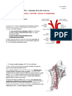 Fiche Vascularisation