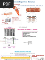 Muscular Esquelético 2023-1 Est