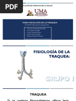 Fisiologia Traquea