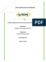 Trabajo Individual Derecho Procesal Laboral, Primer Parcial.