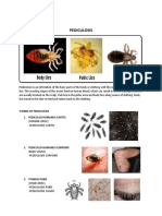 Pediculosis (Cantorne, Sharmaine E)