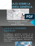 Ingeniería Genética