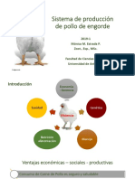 Clase 9. Sistema de Producción Pollo de Engorde Parte I