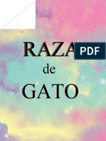 Razas de Gatos