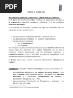 Principios Derecho Colectivo.