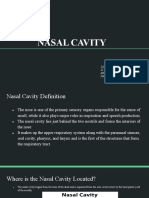 G5 Nasal Cavity