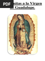 Mañanitas A La Virgen de Guadalupe - 2022 Bueno