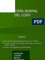 Anatoma - Normal - Del - Codo Seram