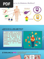 Rotafolio de Diabetes Mellitus