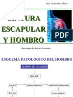 Fisioterapia de La Cintura Escapular y Hombro