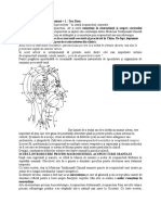 5 Sisteme de Acupunctură Craniană