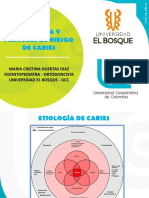 Etiologia y Factores de Riesgo de Caries Dental