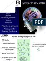 Neuroepotenciais 13200352913342 Phpapp01 111030233124 Phpapp01