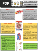 Infografia de Los Sistemas