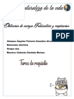 AVGA - Requisito - Etapa 2 - NDV - Semana3-Convertido-1