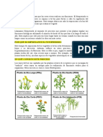 Resumen de Fisiología Vegetal