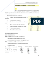 2 - Topografía Corporal y Terminología