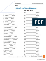 A1 - Deklination Der Adjektive - 002