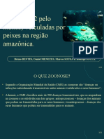 Zoonoses (2 Pelo Menos) Veiculadas Por Peixes Na Região Amazônica.