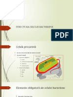 2a STRUCTURA CELULEI BACTERIENE