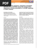 Environmental Microbiology - 2010 - Bordeleau - Beyond Antibiotic Resistance Integrating Conjugative Elements of The SXT