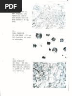 3atlas Micrografico