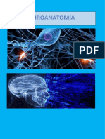 Neuroanatomia Definitivo