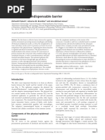 Experimental Dermatology - 2008 - Proksch - The Skin An Indispensable Barrier