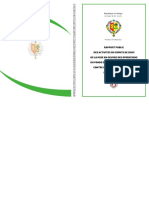 Rapport Final Des Activités Du Comité de Suivi