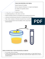 Indicaciones para Toma de Muestra