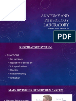 Respiratory System