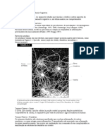 PSI - Psicologia Cognitiva Sternberg 0.2 - Neurociência Cognitiva