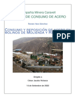 Informe Consumo de Acero