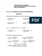 Practica Dirigica - Calculo Diferencial 2022