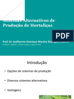 Aula VI - Sistemas Alternativos de Produção de Hortaliças 